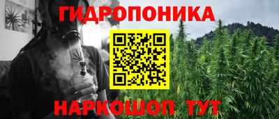 a pvp Бердск
